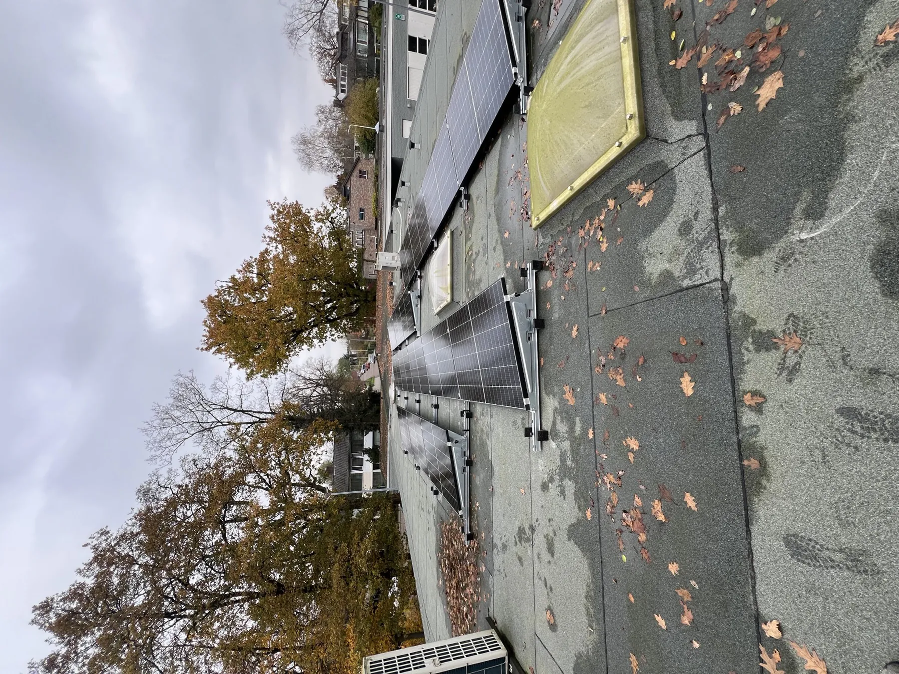 De panelenrijen op het dakvlak, met herfstbomen erachter