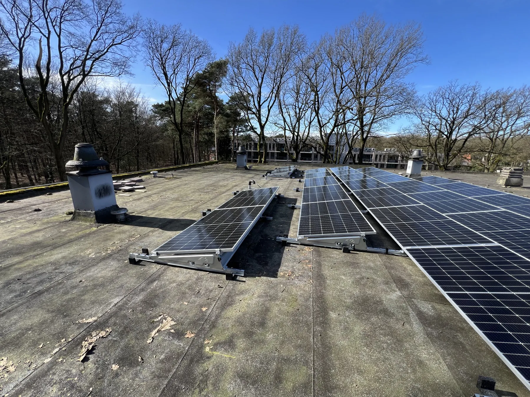 Het dakvlak met de geplaatste panelen en de bosrand erachter